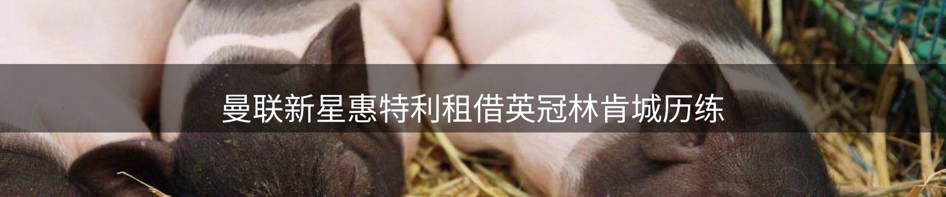 内页banner